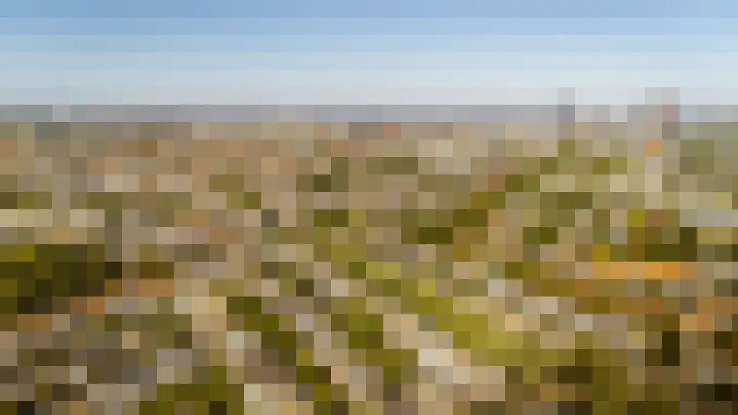 Caan van Necklaan 130 Rijswijk thumbnail 32