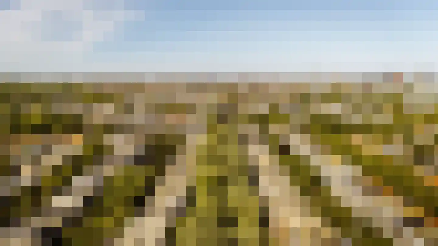 Caan van Necklaan 130 Rijswijk thumbnail 33