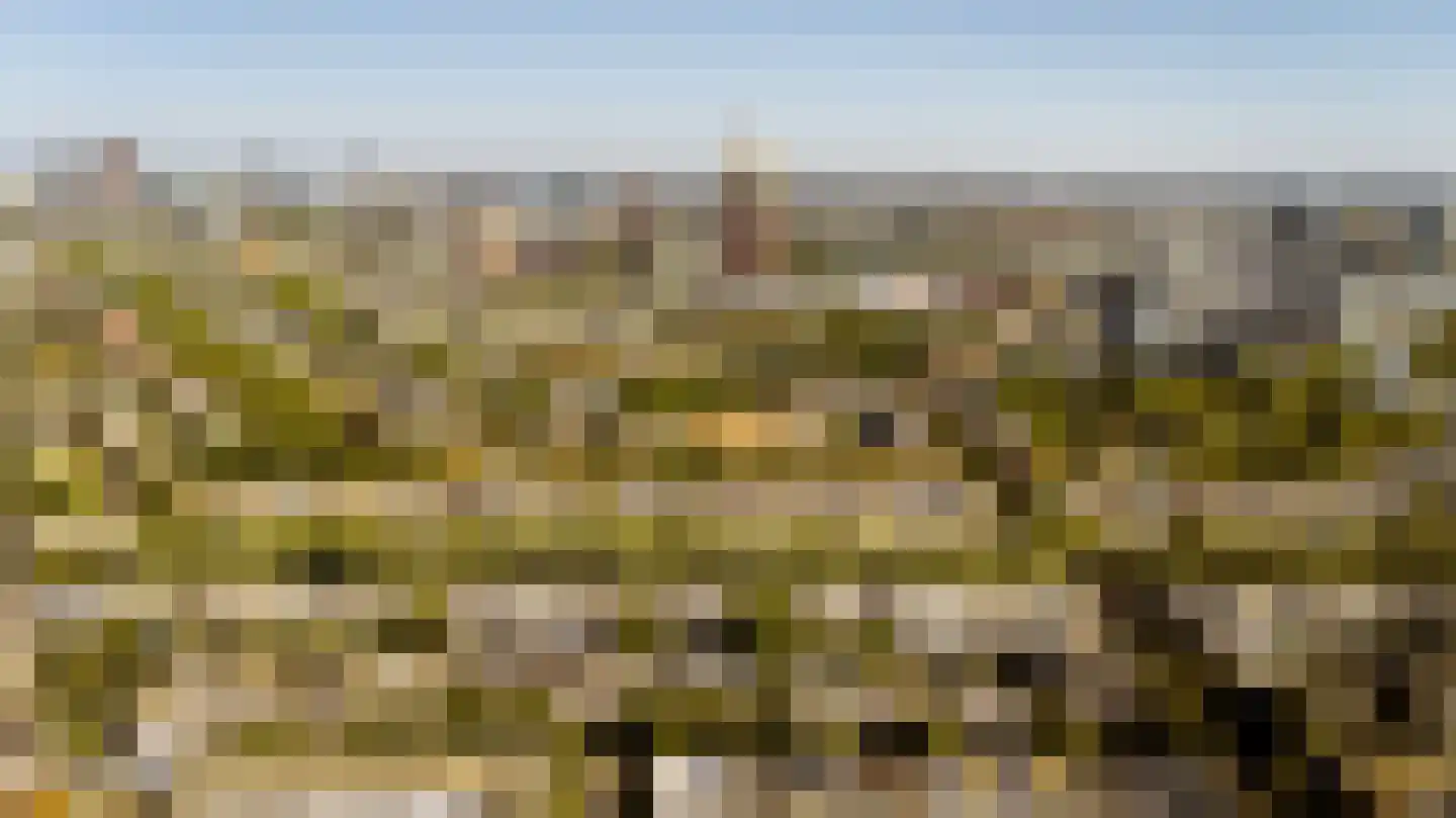 Caan van Necklaan 130 Rijswijk thumbnail 34