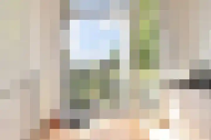 Caan van Necklaan 136 b Rijswijk thumbnail 10