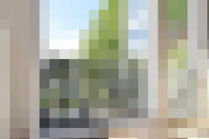 Caan van Necklaan 136 b Rijswijk thumbnail 11