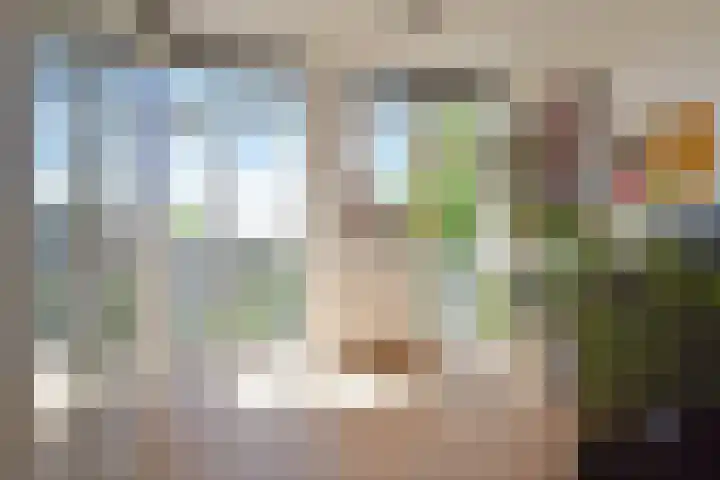Caan van Necklaan 136 b Rijswijk thumbnail 17