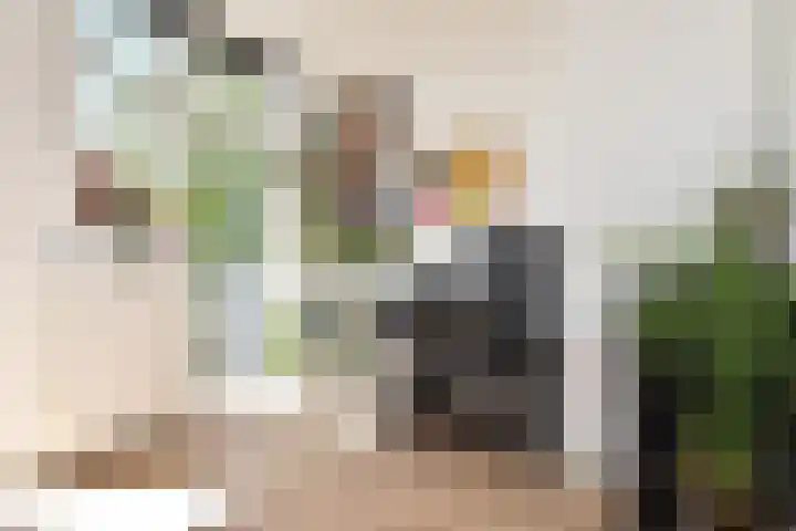 Caan van Necklaan 136 b Rijswijk thumbnail 18