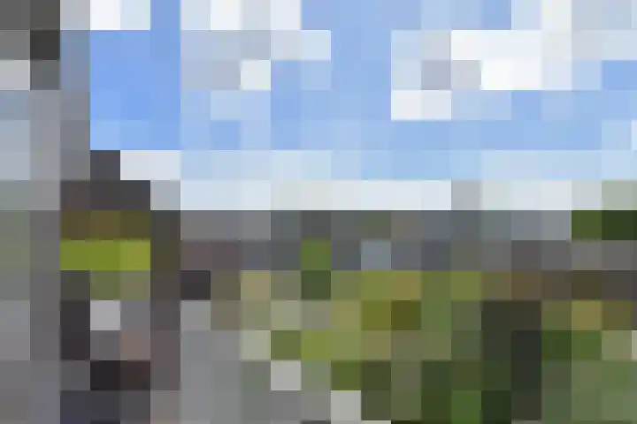 Caan van Necklaan 136 b Rijswijk thumbnail 20