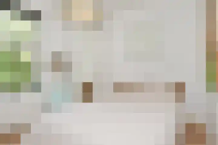 Caan van Necklaan 136 b Rijswijk thumbnail 25
