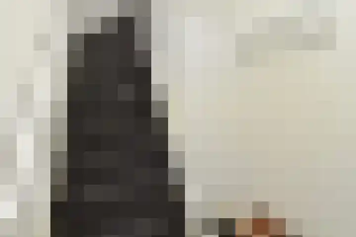 Caan van Necklaan 136 b Rijswijk thumbnail 26