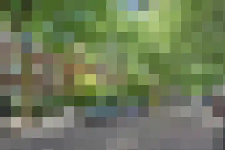 Caan van Necklaan 136 b Rijswijk thumbnail 29