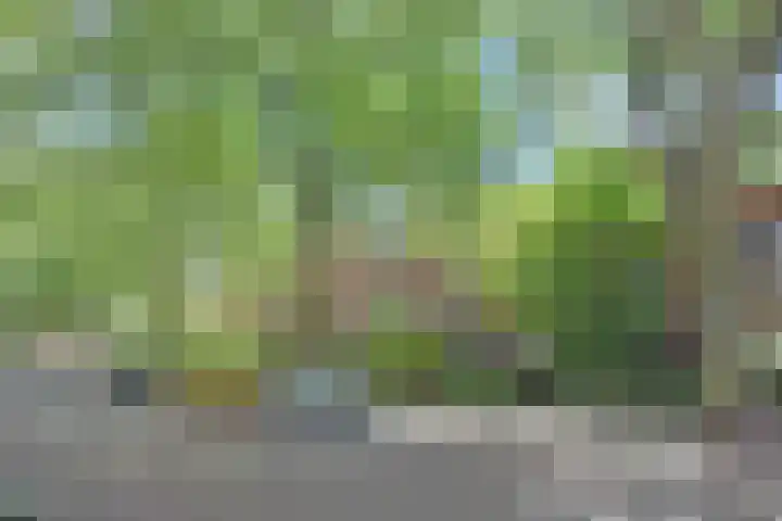 Caan van Necklaan 136 b Rijswijk thumbnail 30