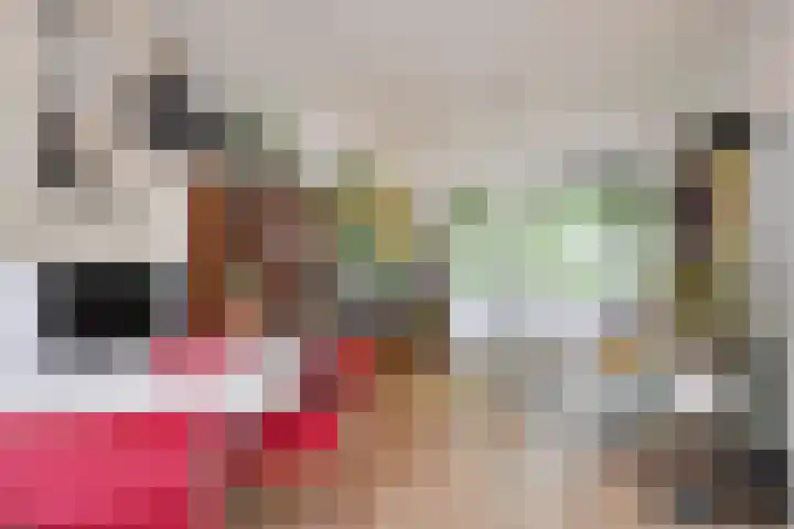 Caan van Necklaan 136 b Rijswijk thumbnail 6