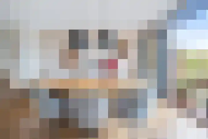 Caan van Necklaan 147 Rijswijk thumbnail 11