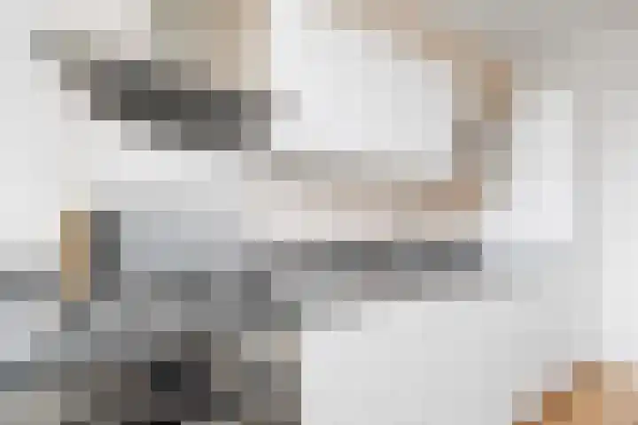 Caan van Necklaan 147 Rijswijk thumbnail 16