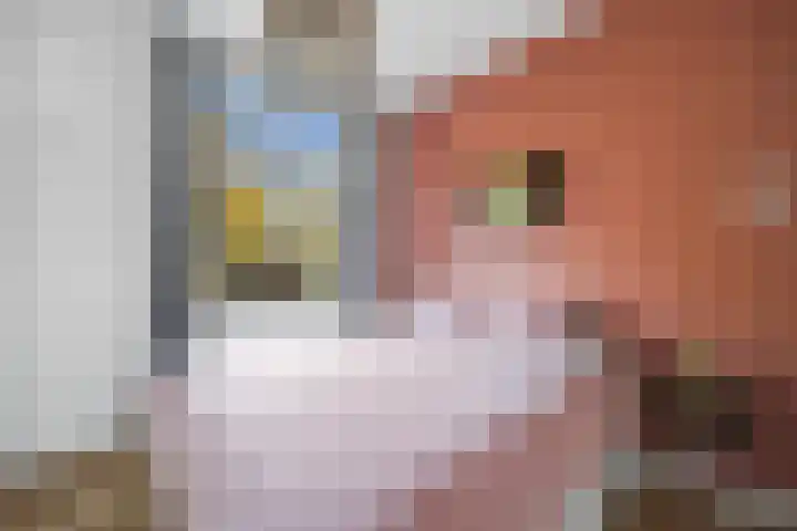 Caan van Necklaan 147 Rijswijk thumbnail 22