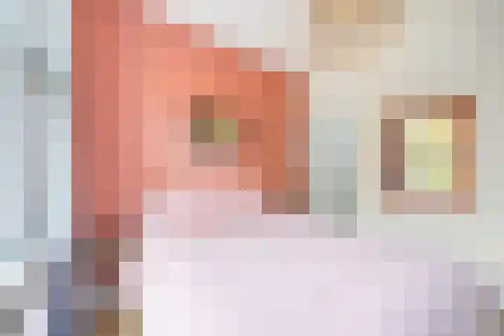 Caan van Necklaan 147 Rijswijk thumbnail 23