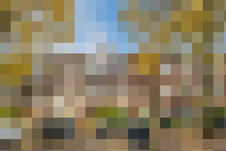 Caan van Necklaan 147 Rijswijk thumbnail 28