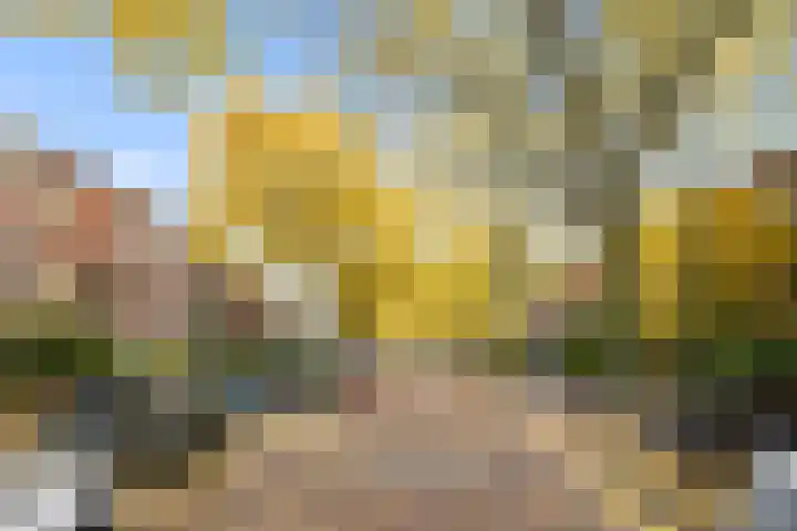 Caan van Necklaan 147 Rijswijk thumbnail 29