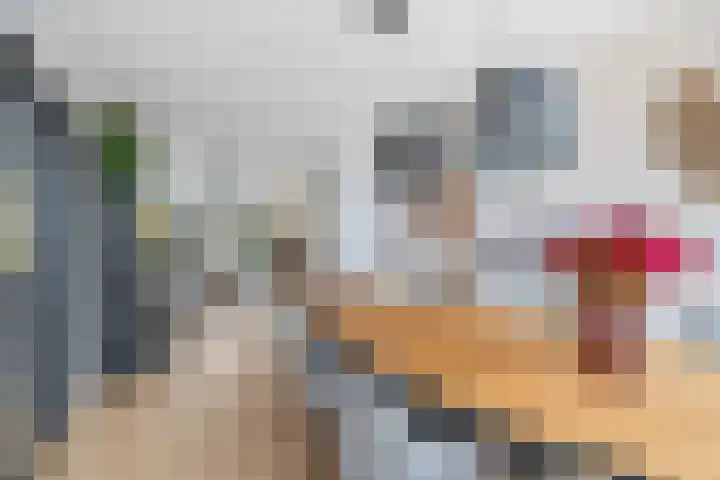 Caan van Necklaan 147 Rijswijk thumbnail 4