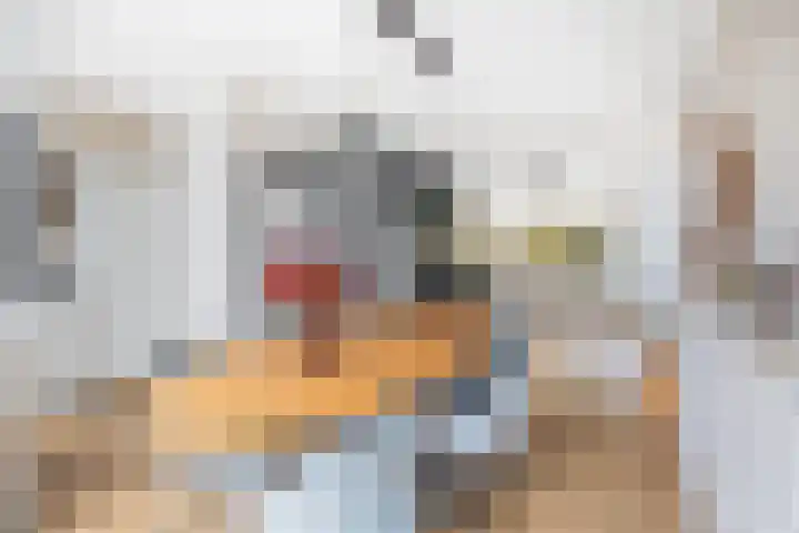 Caan van Necklaan 147 Rijswijk thumbnail 5