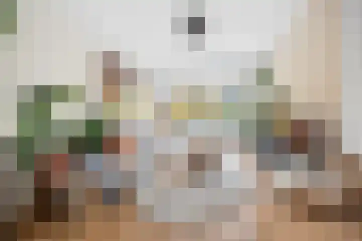 Caan van Necklaan 147 Rijswijk thumbnail 6