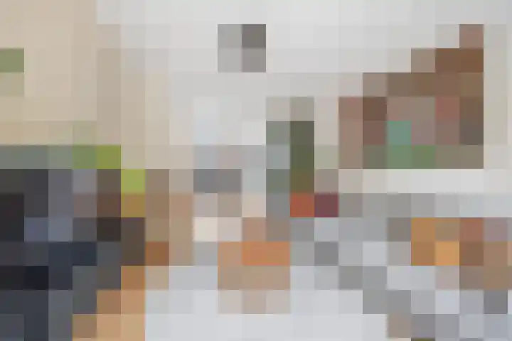 Caan van Necklaan 147 Rijswijk thumbnail 8