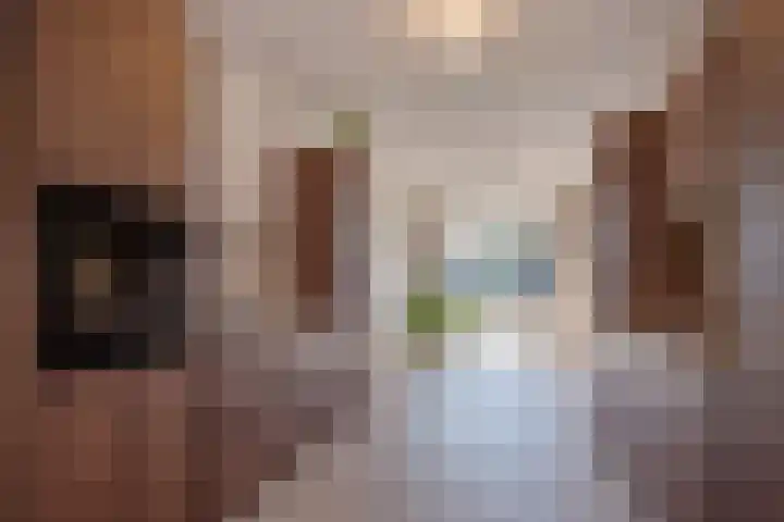 Caan van Necklaan 156 Rijswijk thumbnail 12