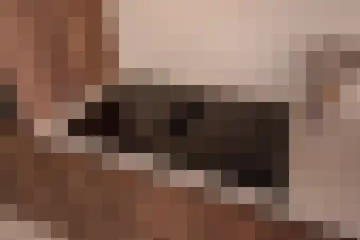 Caan van Necklaan 156 Rijswijk thumbnail 15