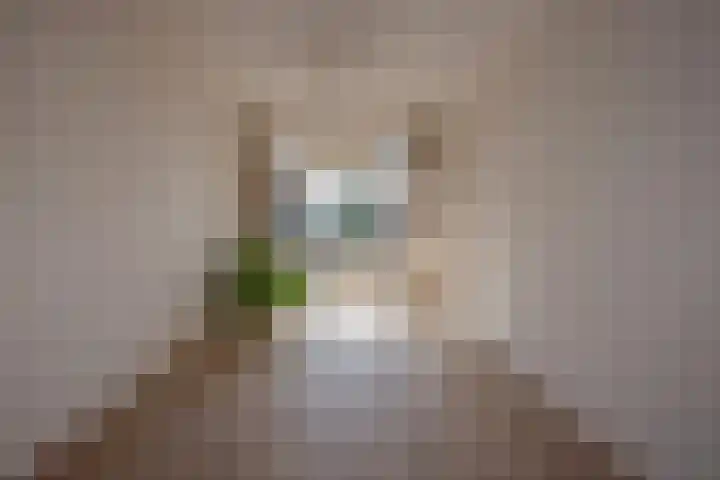 Caan van Necklaan 156 Rijswijk thumbnail 18