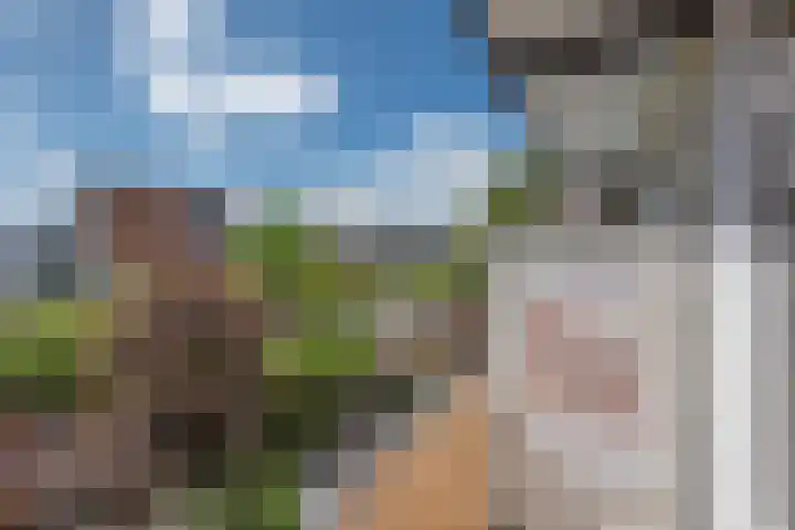 Caan van Necklaan 156 Rijswijk thumbnail 20