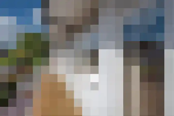 Caan van Necklaan 156 Rijswijk thumbnail 22