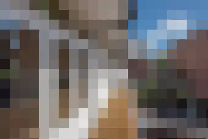 Caan van Necklaan 156 Rijswijk thumbnail 23