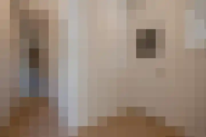 Caan van Necklaan 156 Rijswijk thumbnail 24