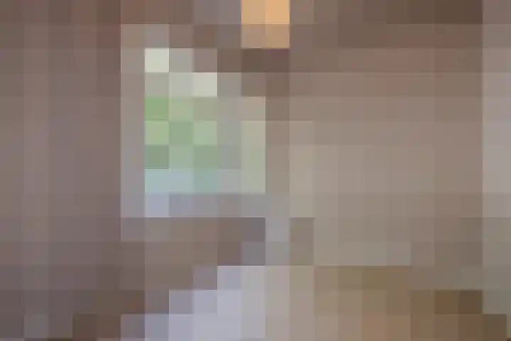 Caan van Necklaan 156 Rijswijk thumbnail 26