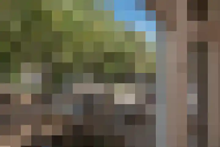 Caan van Necklaan 156 Rijswijk thumbnail 36