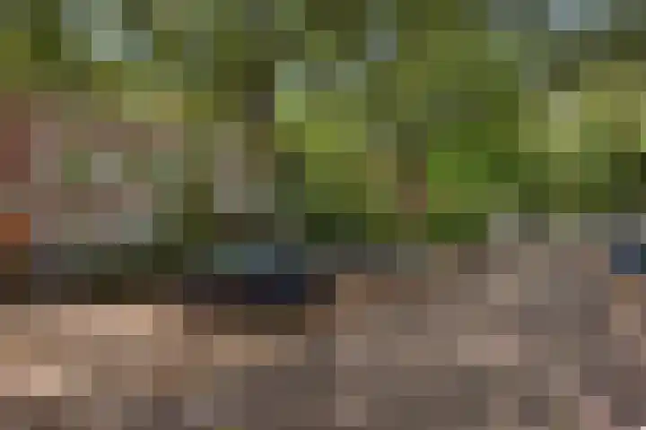 Caan van Necklaan 156 Rijswijk thumbnail 37