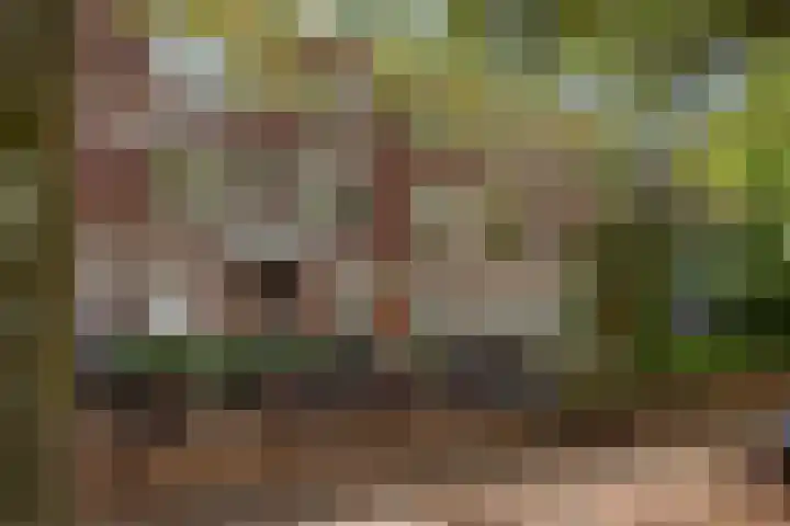 Caan van Necklaan 156 Rijswijk thumbnail 39