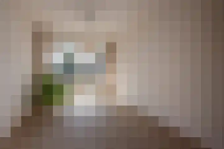 Caan van Necklaan 156 Rijswijk thumbnail 4