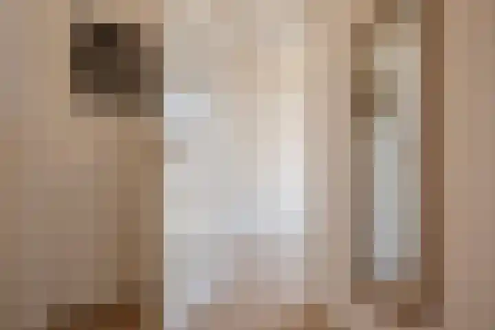 Caan van Necklaan 156 Rijswijk thumbnail 6