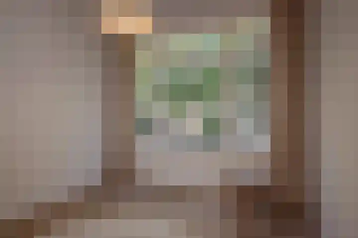 Caan van Necklaan 156 Rijswijk thumbnail 9