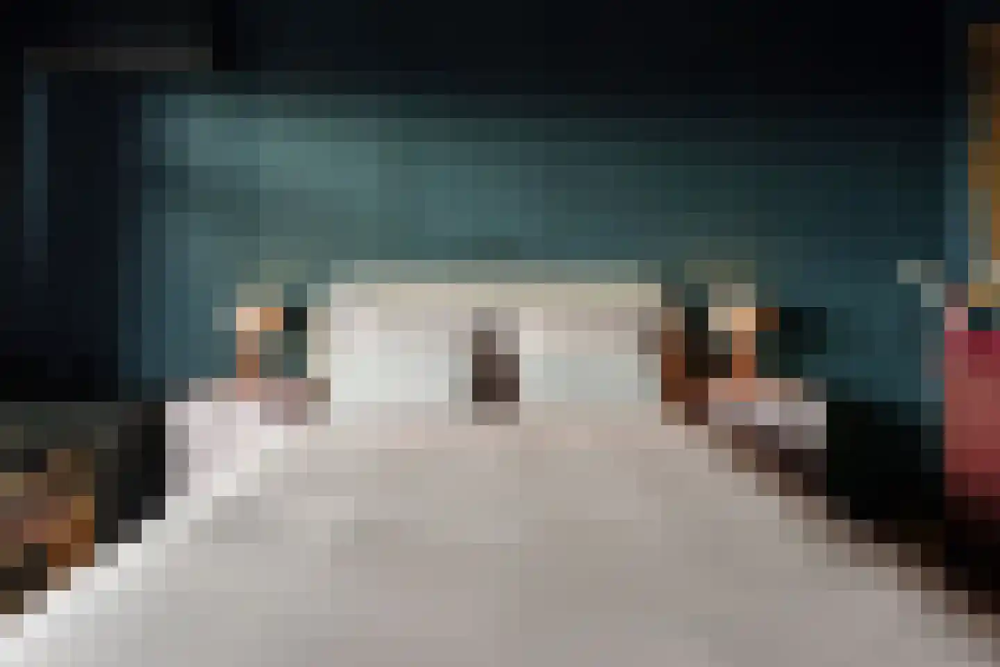 Caan van Necklaan 158 Rijswijk thumbnail 22