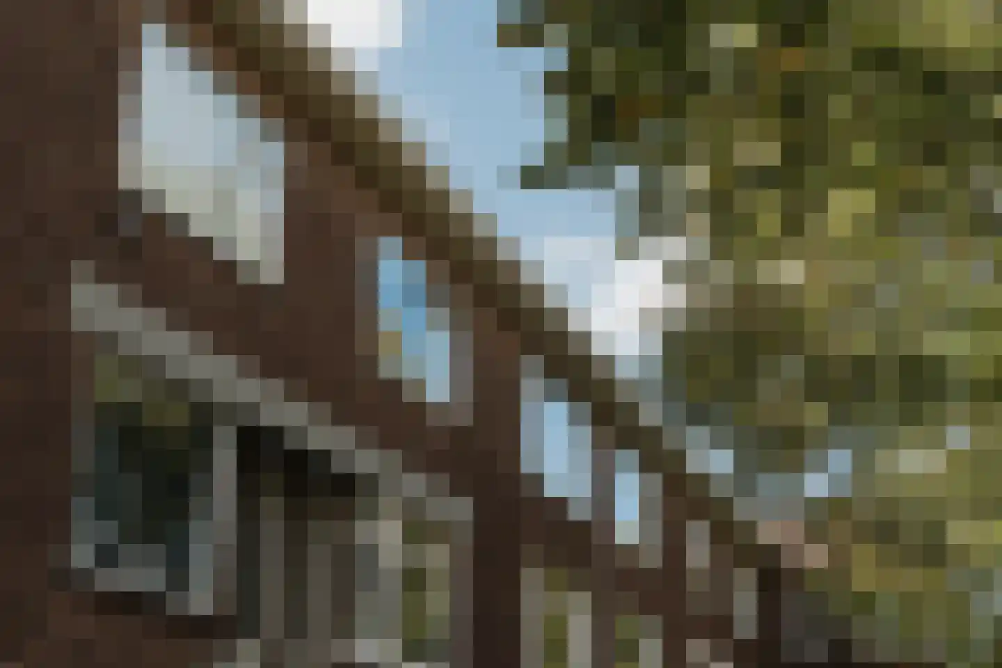 Caan van Necklaan 158 Rijswijk thumbnail 36
