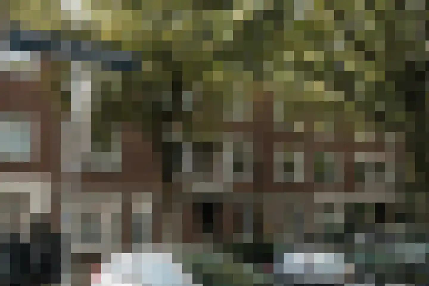 Caan van Necklaan 158 Rijswijk thumbnail 37