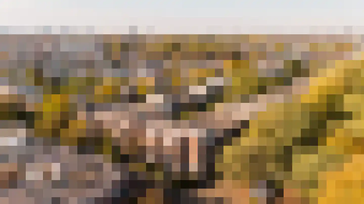 Caan van Necklaan 158 Rijswijk thumbnail 39