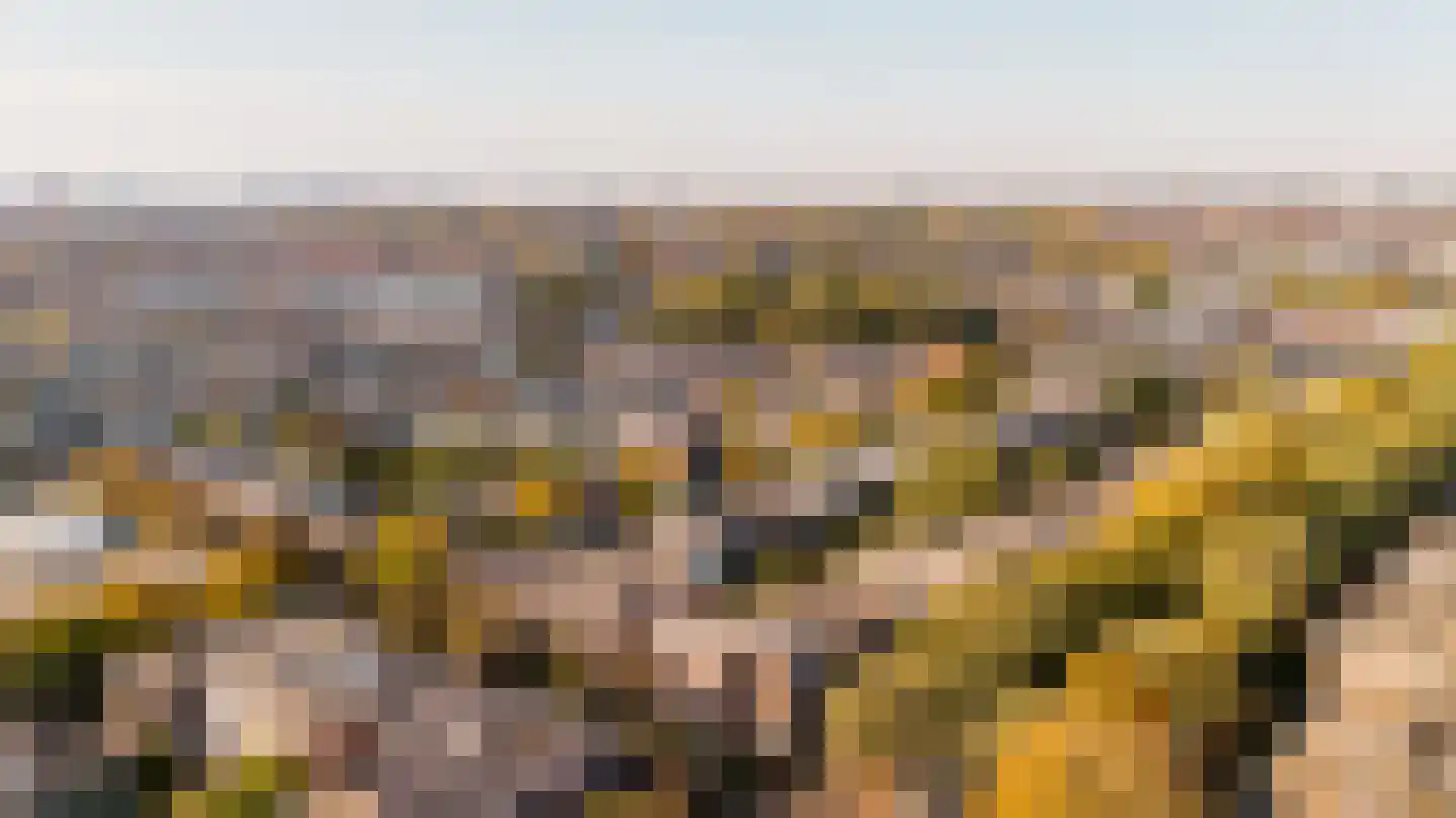 Caan van Necklaan 158 Rijswijk thumbnail 40