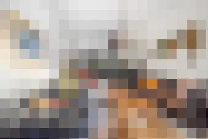 Caan van Necklaan 159 a Rijswijk thumbnail 10