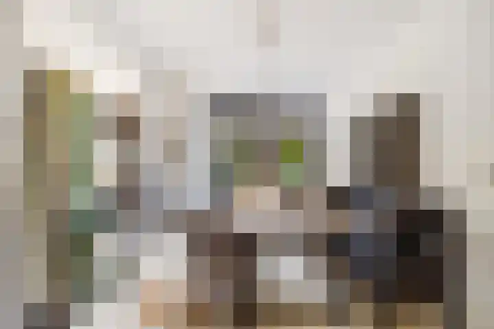 Caan van Necklaan 159 a Rijswijk thumbnail 11