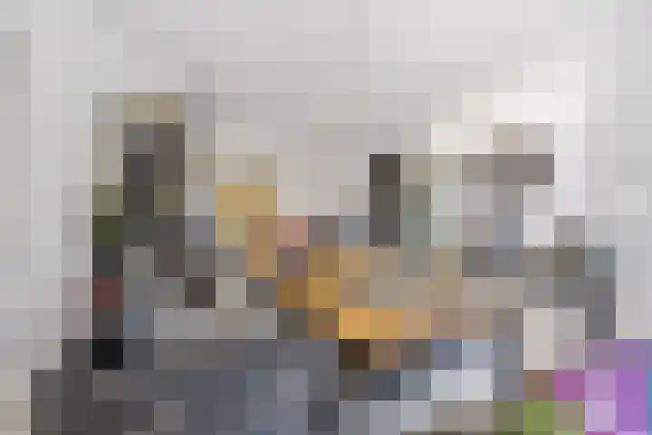Caan van Necklaan 159 a Rijswijk thumbnail 14