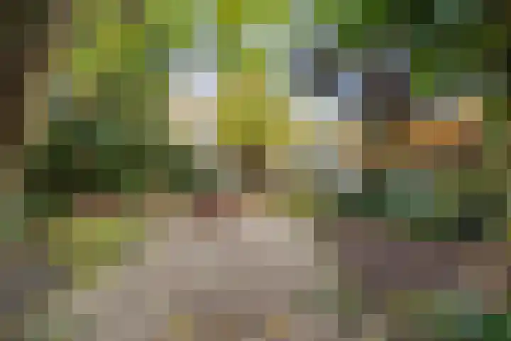 Caan van Necklaan 159 a Rijswijk thumbnail 4