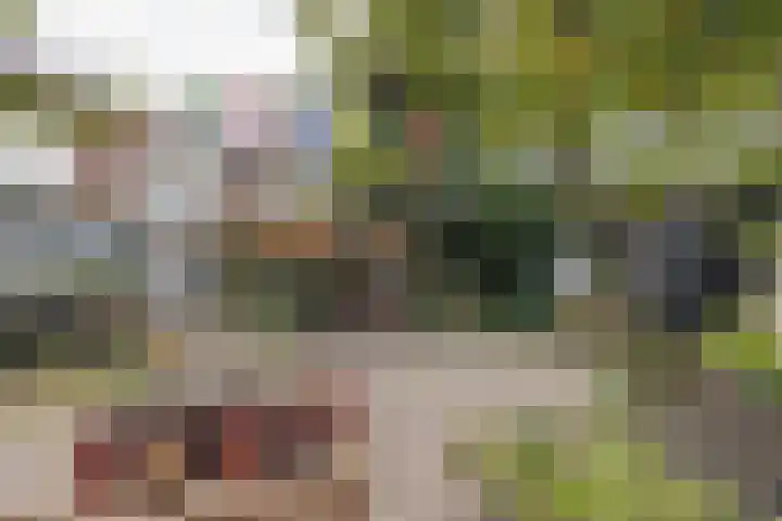 Caan van Necklaan 159 a Rijswijk thumbnail 6