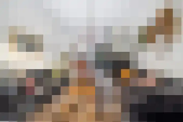 Caan van Necklaan 159 a Rijswijk thumbnail 9