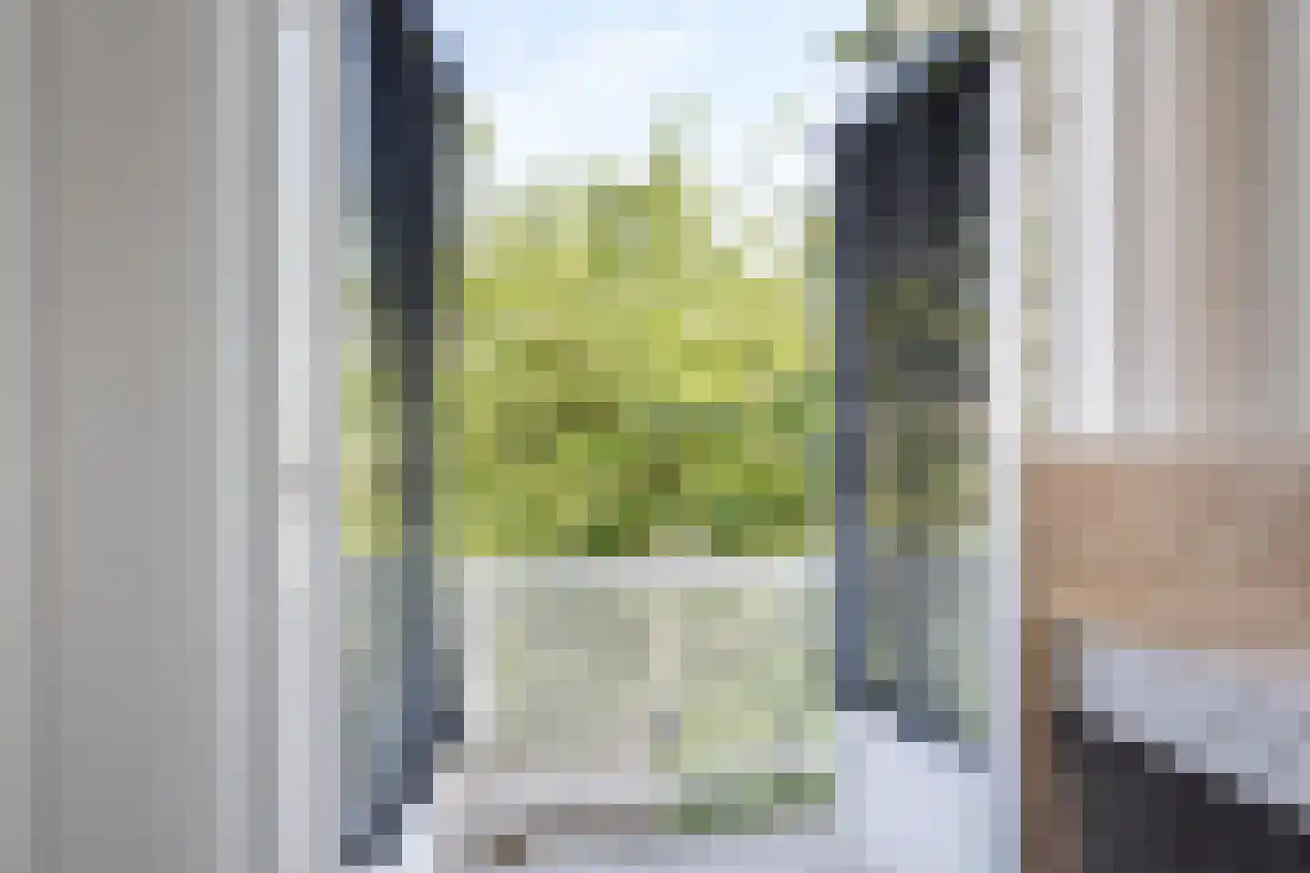 Caan van Necklaan 159 Rijswijk thumbnail 25