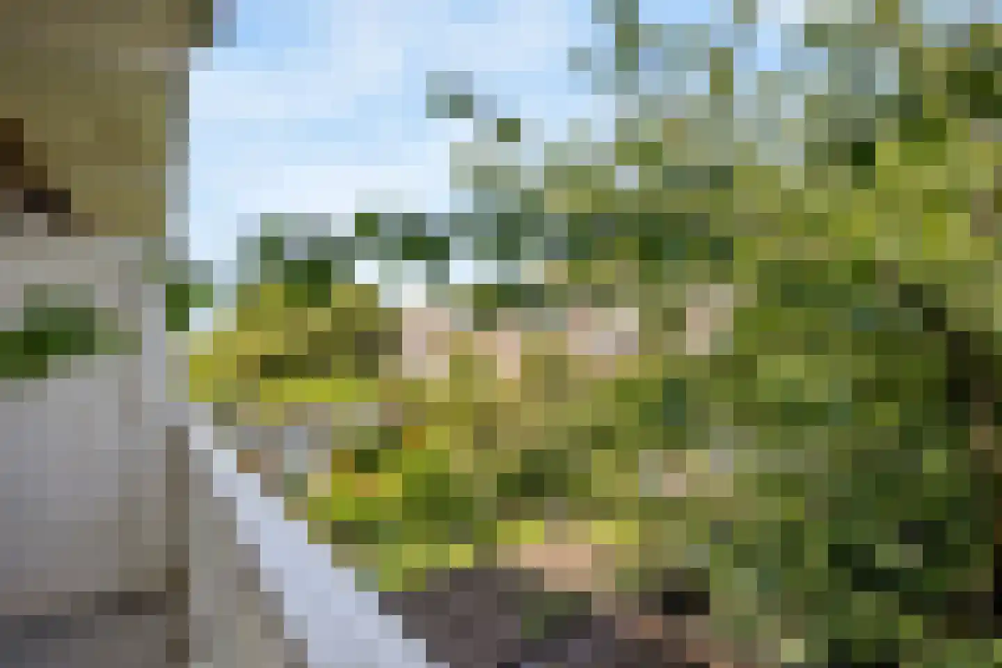 Caan van Necklaan 159 Rijswijk thumbnail 28